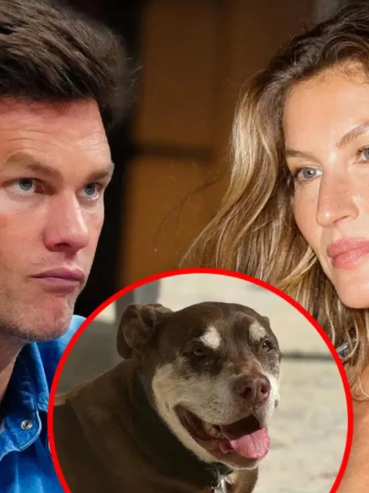 Sie vermissen sie sooo sehr: Tom Brady und Gisele Bündchen trauern um ihren Hund!