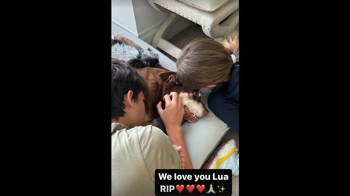 Lua gehörte zur Familie, war so wichtig für die Kinder.