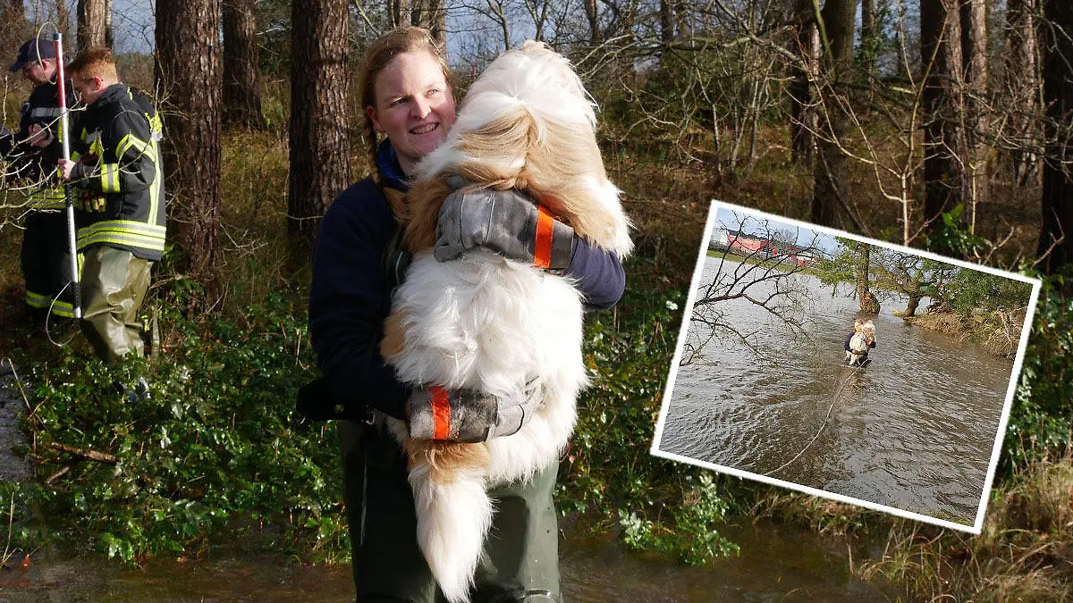 Die Freiwillige Feuerwehr Celle hat einen Hund vor dem Ertrinken gerettet.