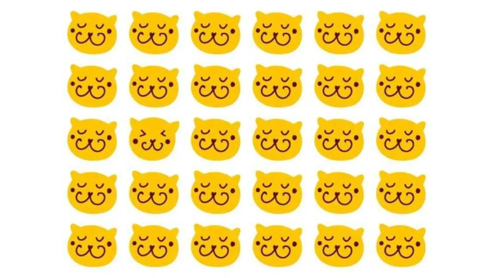 Welche Katze maunzt aus der Reihe?