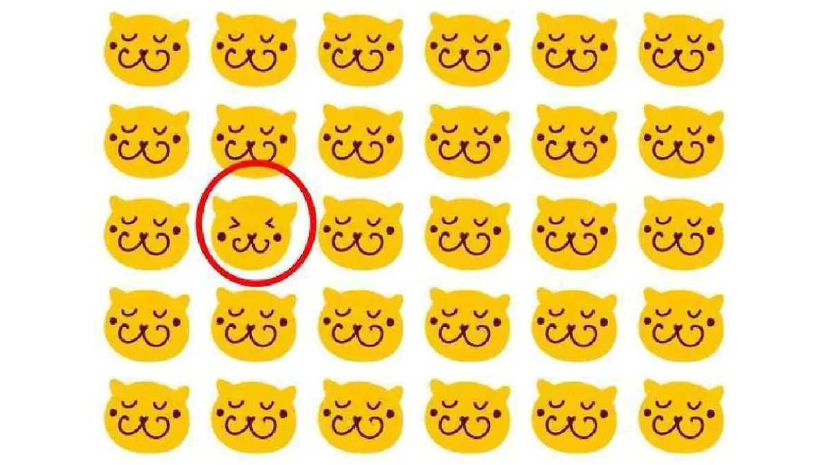 Auflösung Suchbild Katze