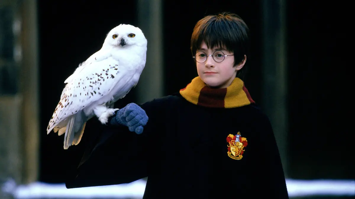 Harry Potter (Daniel Radcliffe) erhält einen geheimnisvollen Brief, der ihm von einer Eule zugestellt wird. (c) Foto: VOX/" 2001 Warner Bros. Entertainment Inc. Harry Potter characters, names and related indicia are trademarks and " of Warner Bros. Entertainment Inc. All Rights Reserved. Harry Potter Publishing Rights " J.K.R.
