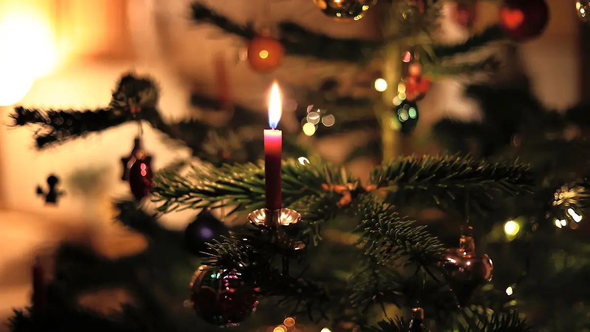 Das Weihnachtsbäume-Angebot wird in diesem Jahr knapper. Die Preise für Tannenbäume werden steigen. Damit rechnen Branchen-Experten. (Symbolbild)