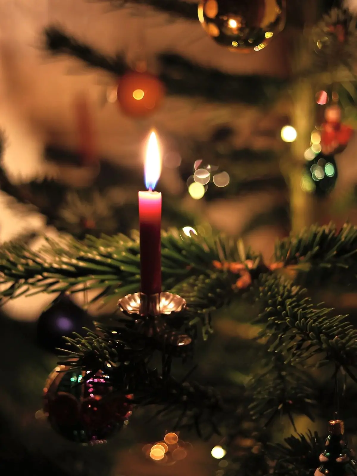 Das Weihnachtsbäume-Angebot wird in diesem Jahr knapper. Die Preise für Tannenbäume werden steigen. Damit rechnen Branchen-Experten. (Symbolbild)
