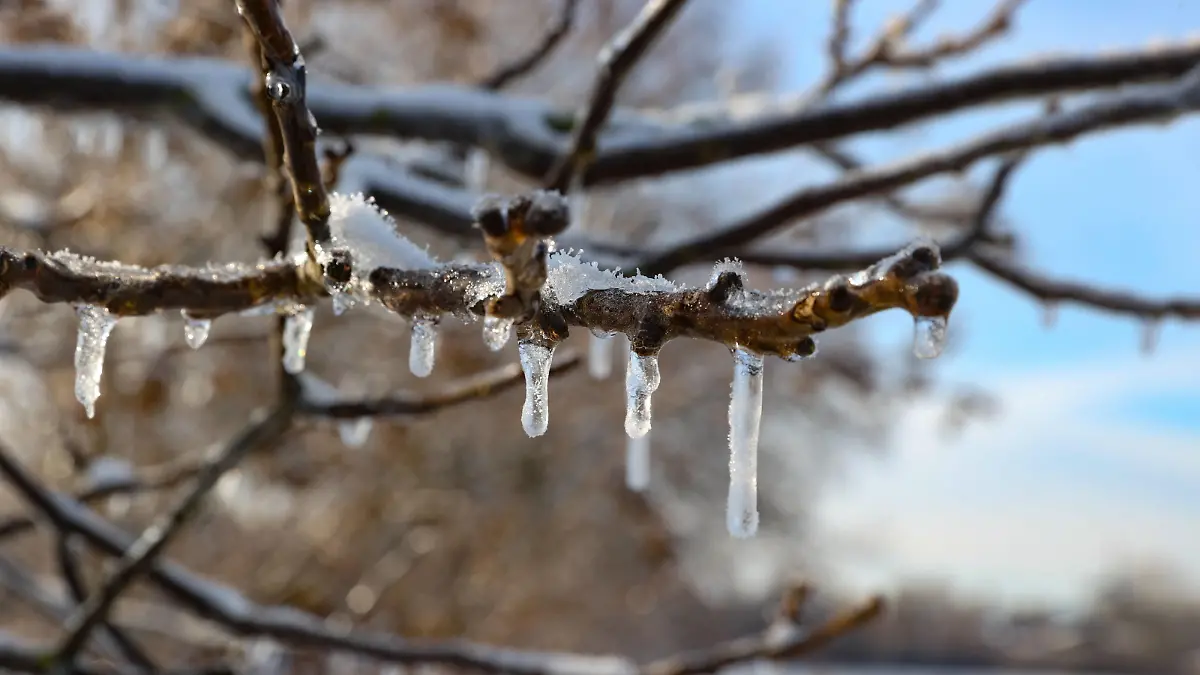 Niedersachsen, Hannover, Eisregen hat am Wochenende Teile Hannovers mit einer Eisschicht überzogen, Wetter, Natur, Winter, Eis, Eiszapfen, Bäume, *** Lower Saxony, Hanover, sleet covered parts of Hanover with a layer of ice at the weekend, weather, nature, winter, ice, icicles, trees,