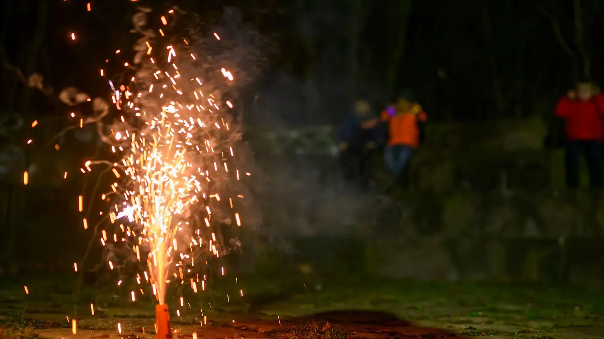 Kinder schauen einem Feuerwerk kurz vor Silvester zu und halten sich die Ohren zu,