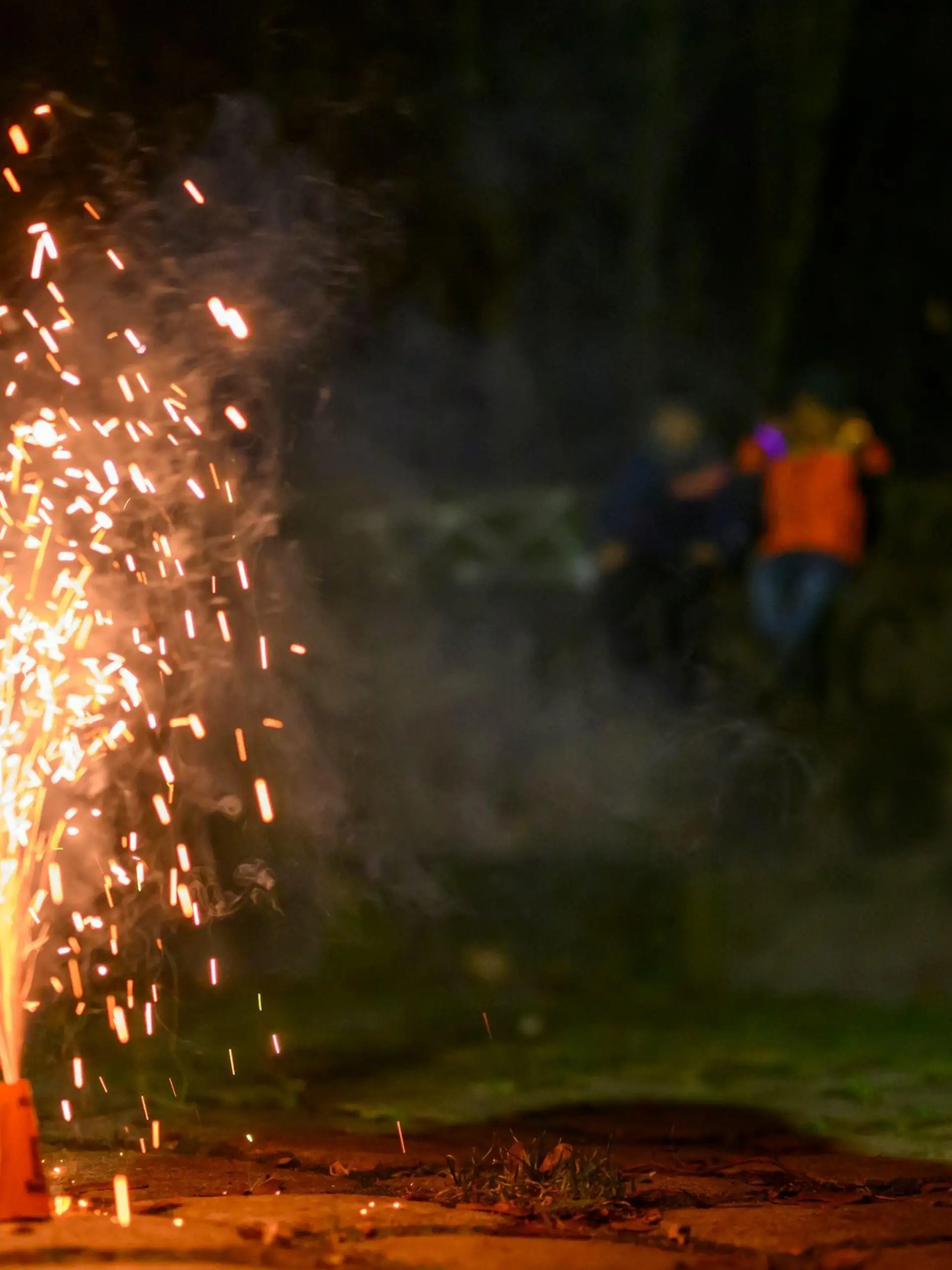 Kinder schauen einem Feuerwerk kurz vor Silvester zu und halten sich die Ohren zu,