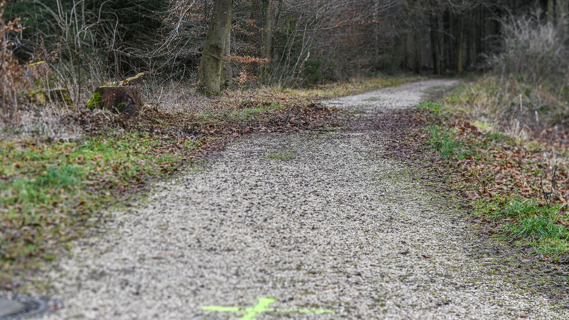 29.12.2023, Baden-Württemberg, Ulm: Ein Blick auf eine Stelle in einem Waldstück, an der ein 15-Jähriger versucht haben soll, seine gleichaltrige Freundin zu erwürgen. Das Mädchen wurde in ein Krankenhaus transportiert. Die 15-Jährige ist dann mutmaßlich infolge des Würgeangriffs durch ihren gleichaltrigen Freund im Krankenhaus gestorben. Das sagte ein Sprecher der Ulmer Polizei am Montag (01.01.2024). Foto: Jason Tschepljakow/dpa +++ dpa-Bildfunk +++