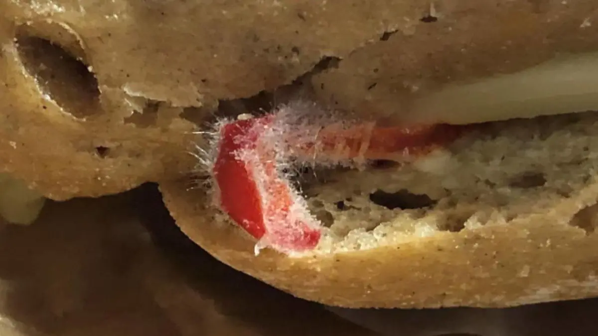 Dieses verschimmelte Brötchen hat die Deutsche Polizeigewerkschaft Berlin auf "X" geteilt.