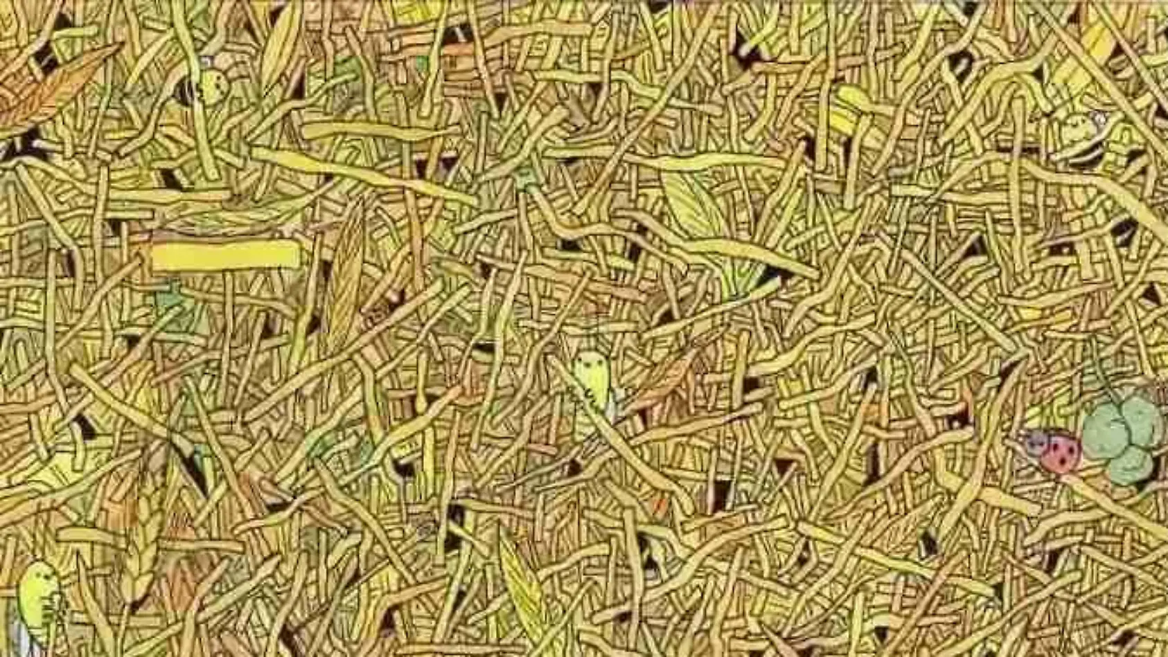 Wer findet die Nadel im Heuhaufen?