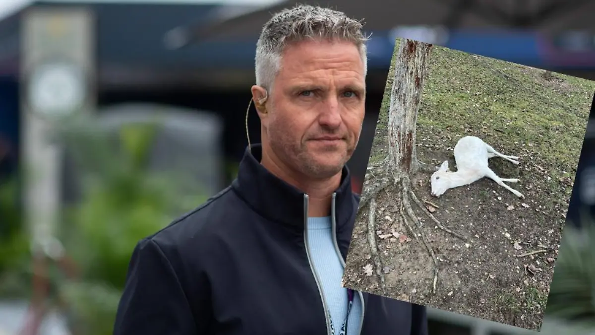 Ralf Schumacher machte am Neurjahrstag eine grausige Entdeckung.