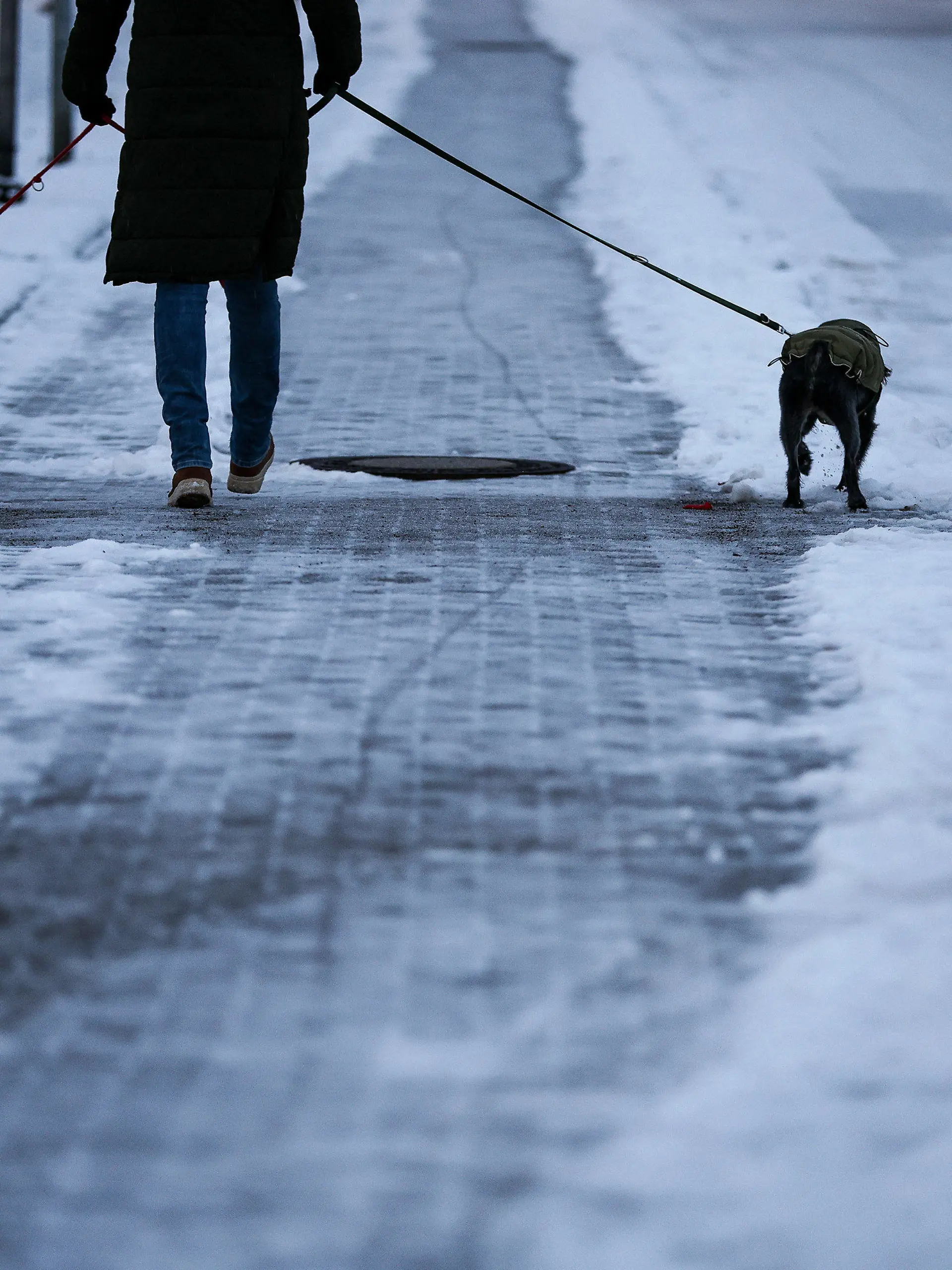 05.12.2023, Sachsen, Leipzig: Ein Mann geht mit zwei Hunden am Morgen bei Regen und Schneeglätte über einen Fußweg, auf dem noch Schnee liegt. Es soll auch in den kommenden Tagen weiter schneien oder regnen, die Temperaturen liegen bei null bis plus vier Grad. Der Deutsche Wetterdienst (DWD) warnt vor Glatteis durch überfrierenden Regen. Foto: Jan Woitas/dpa +++ dpa-Bildfunk +++