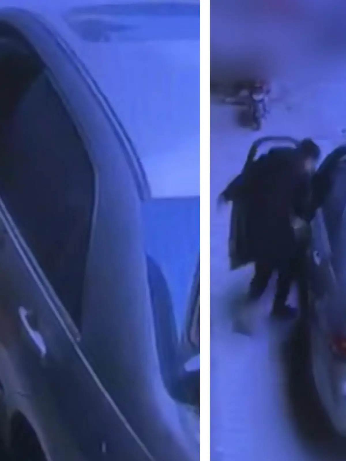 Ein Wauwau mit Auto-Know-how?!

Die Aufnahmen einer Überwachungskamera zeigen Hund Xi Le aus Südchina, dem das Warten aufs Herrchen wohl zu lange dauert. Er steigt einfach ein und fährt los - im Video!