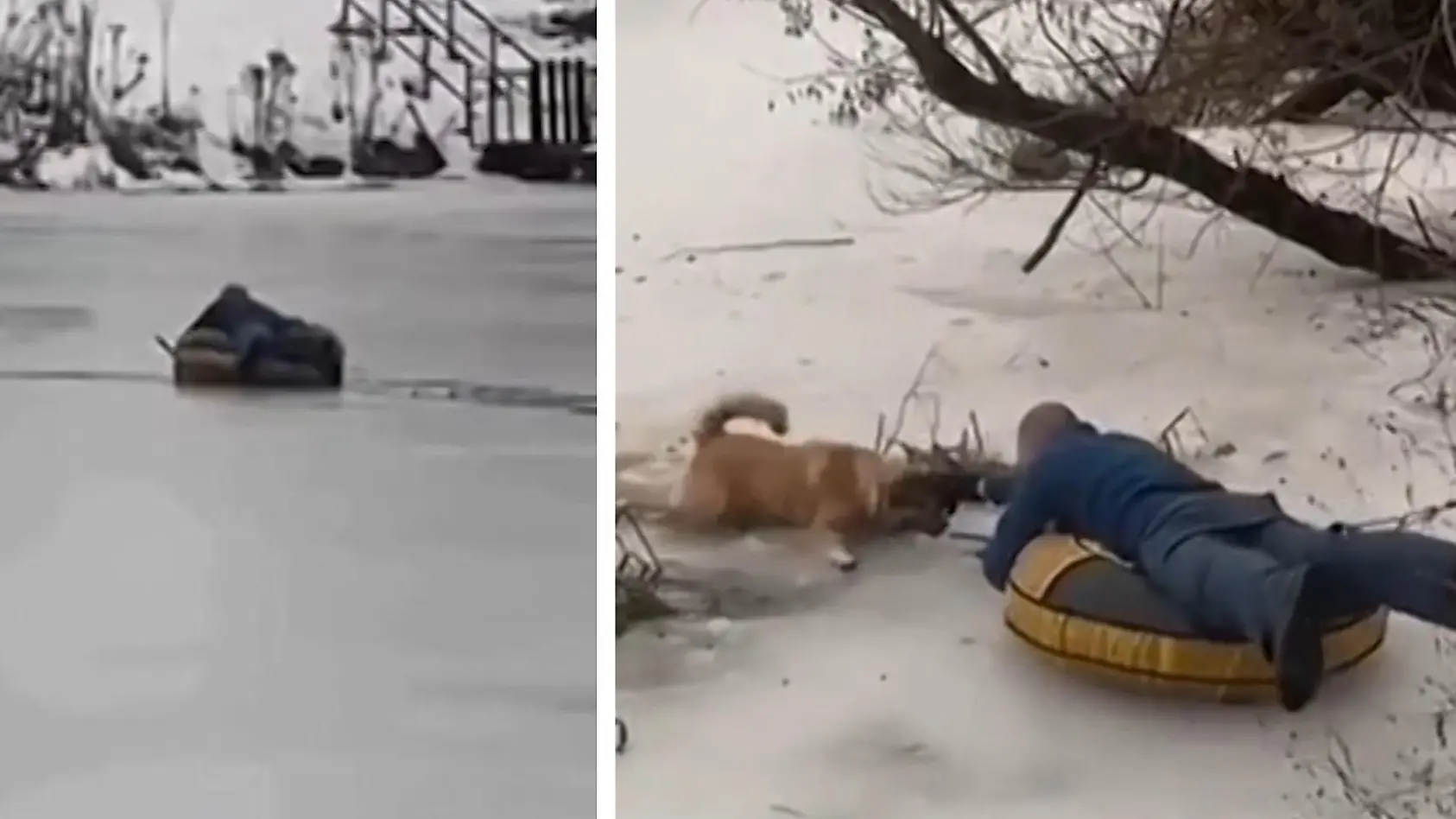 Retter bergen Hund aus eisigem Wasser