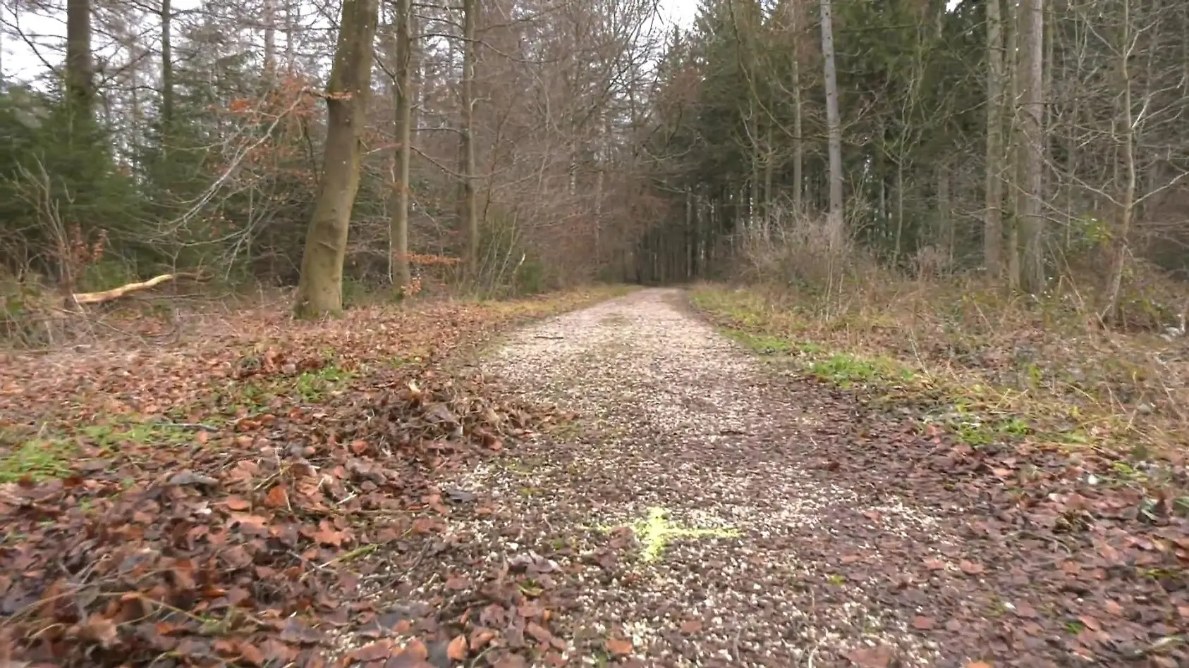 Auch sein Vater hat jemanden getötet