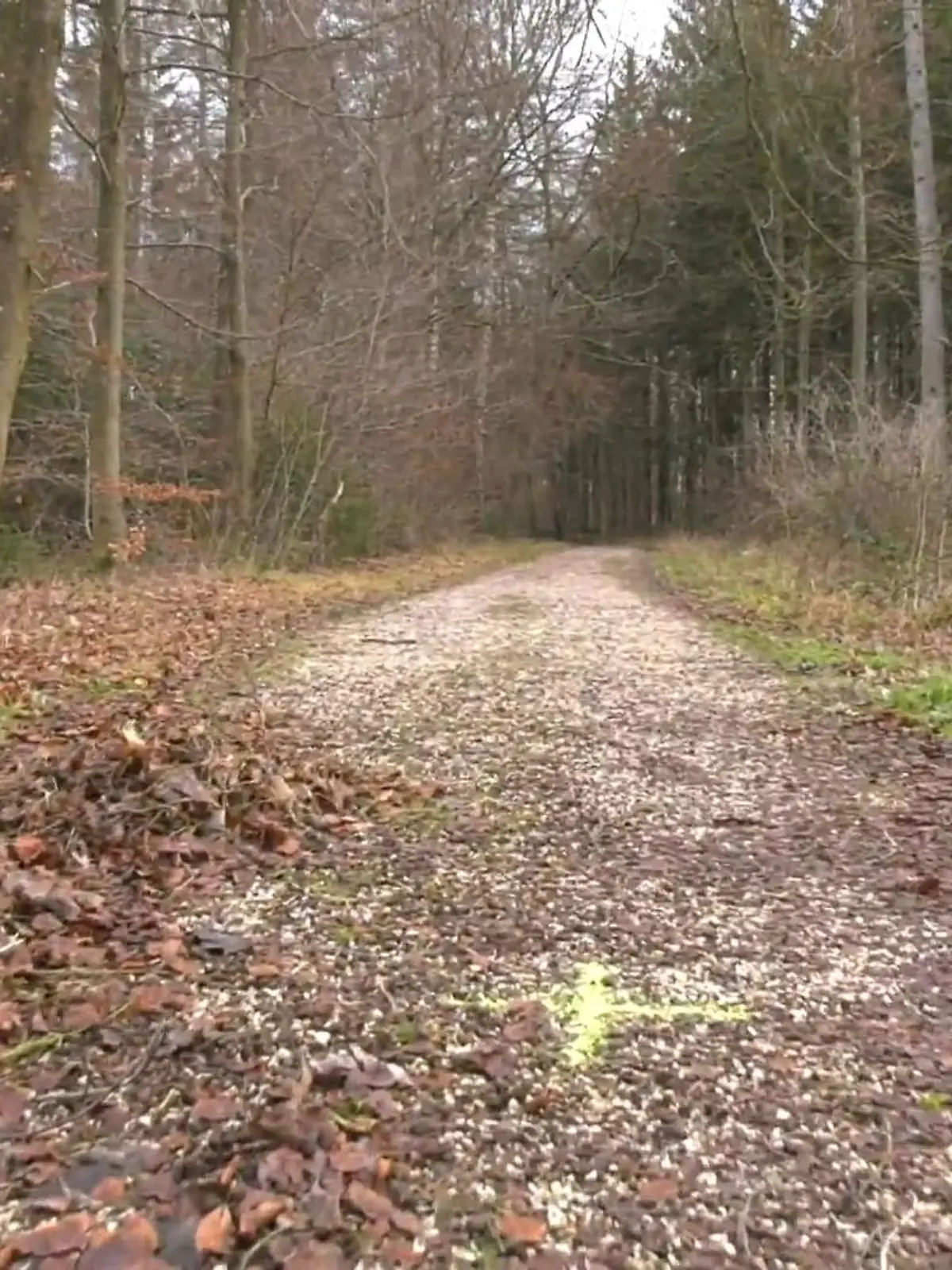 Hier hat die Polizei den leblosen Körper der 15 Jährigen gefunden, in einem Waldstück in Wiblingen bei Ulm . 
Was genau passiert ist und vor allem warum, ist noch völlig offen. 
Klar ist bisher nur ihr gleichaltriger Freund hat sie hier wohl angegriffen und anschließend selbst die Polizei gerufen. 
Der hat mitgeteilt , dass er seine Freundin umgebracht hätte . Man konnte die Frau dann als Jugendliche in einem Waldstück leblos auffinden . Sie wurde dann quasi sofort reanimiert und in ein Krankenhaus gebracht . 
Gestern ist das Mädchen dann an den Folgen der Tat gestorben . Jetzt kommt raus Nicht nur der 15-jährige selbst ist ein mutmaßlicher Mörder . Ostern vergangenen Jahres tötet sein schizophrener Vater die 7-jährige Halbschwester des Verdächtigen in der Nähe dieser Schule . Anschließend ruft auch der Vater selbst die Polizei und lässt sich widerstandslos festnehmen . Er ist nach der Tat dauerhaft in einer Psychiatrie untergebracht . 