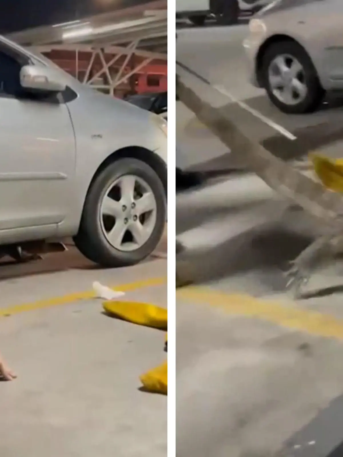 Ein riesiger Waran hat sich unter einem Auto versteckt. Dass er eingefangen werden soll, passt ihm so gar nicht. Als es fast so weit ist, kann das Tier entkommen. Ob die Waran-Fänger ihn doch noch aus einem Parkhaus in Thailand locken können, seht ihr im Video.
