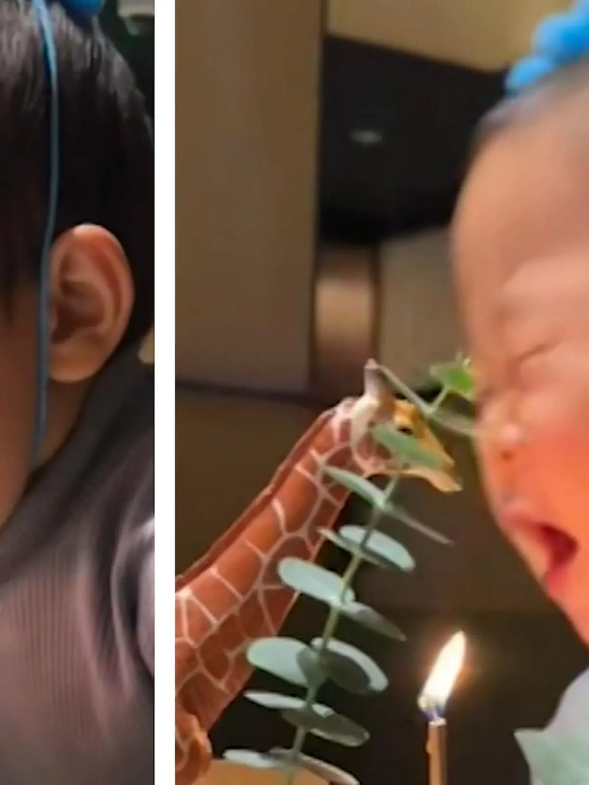 Der kleine KangKang aus China freut sich ganz besonders über seinen Geburtstagskuchen. Nur das mit dem Kerze auspusten, das muss er wohl noch üben - im Video.