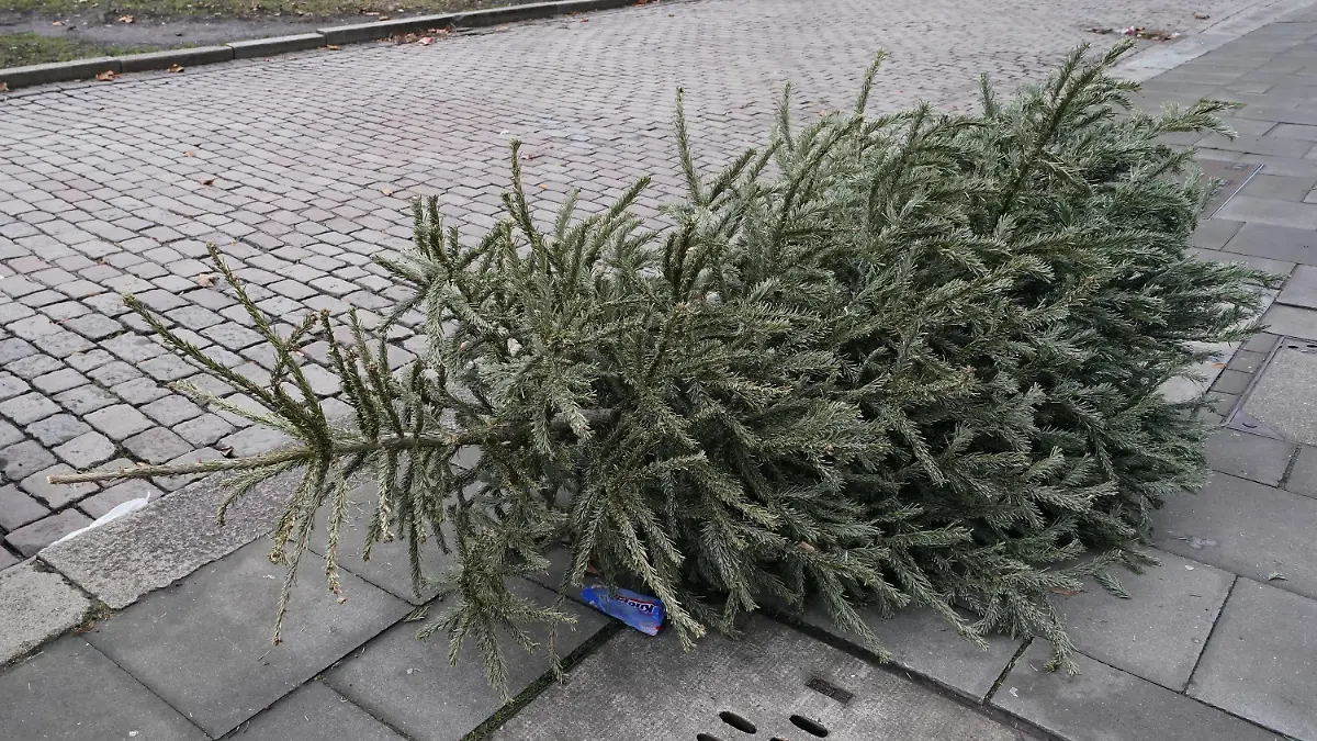 28.12.2023, Hamburg: Ein Weihnachtsbaum liegt auf einem Gehweg im Stadtteil St. Georg. Foto: Marcus Brandt/dpa +++ dpa-Bildfunk +++