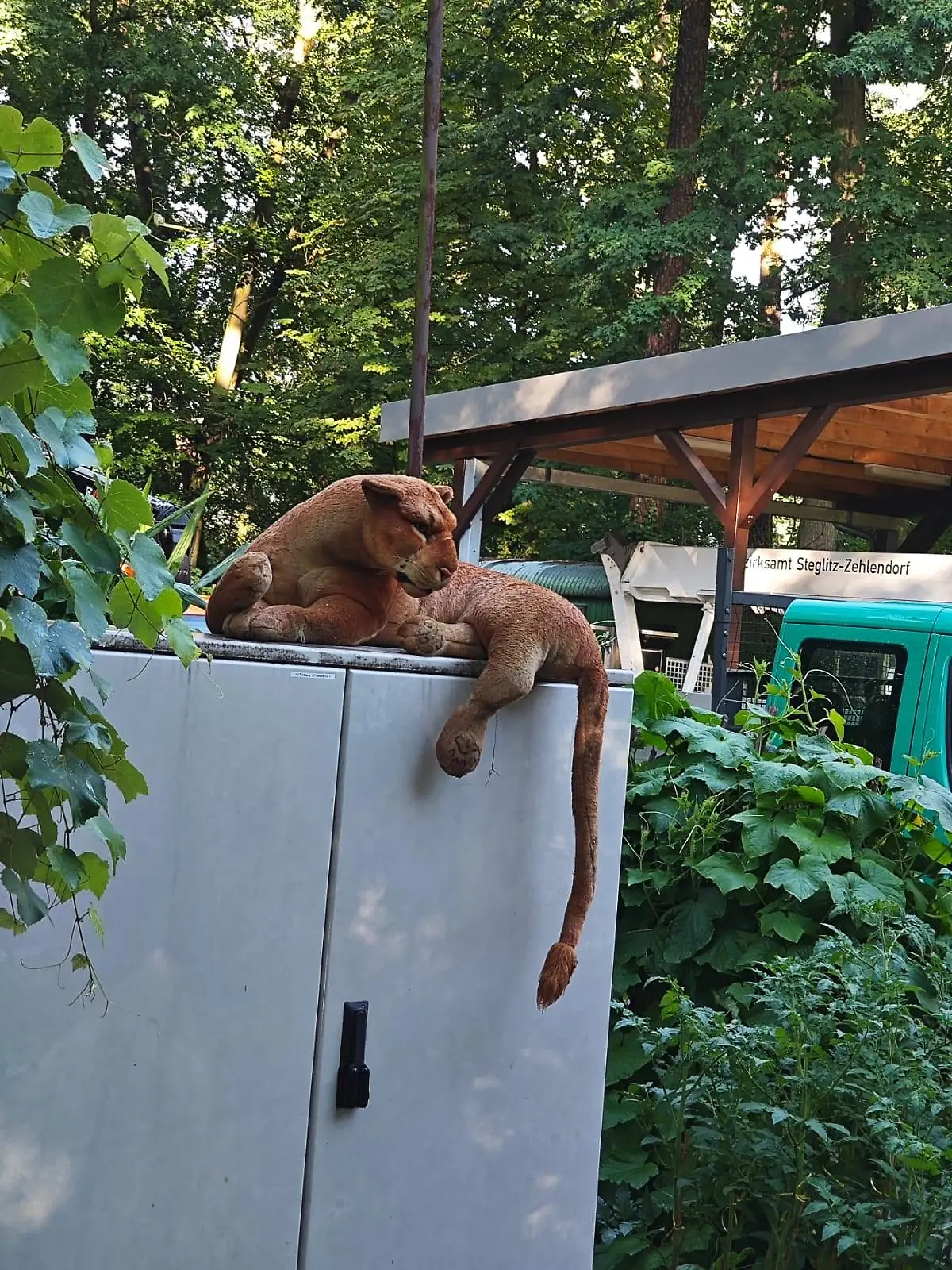 HANDOUT - 01.08.2023, Berlin: Ein besorgter Anrufer hat in Berlin den Notruf gewählt, weil er ein Raubtier im Finkenpark im Stadtteil Dahlem befürchtete. Eine Polizeistreife konnte schnell Entwarnung geben: Es handelt sich um ein Plüschtier. (zu dpa «Erneut Raubtier-Alarm in Berlin - Polizei sichtet Plüschtier») Foto: Polizei Berlin - ACHTUNG: Nur zur redaktionellen Verwendung im Zusammenhang mit der aktuellen Berichterstattung und nur mit vollständiger Nennung des vorstehenden Credits +++ dpa-Bildfunk +++
