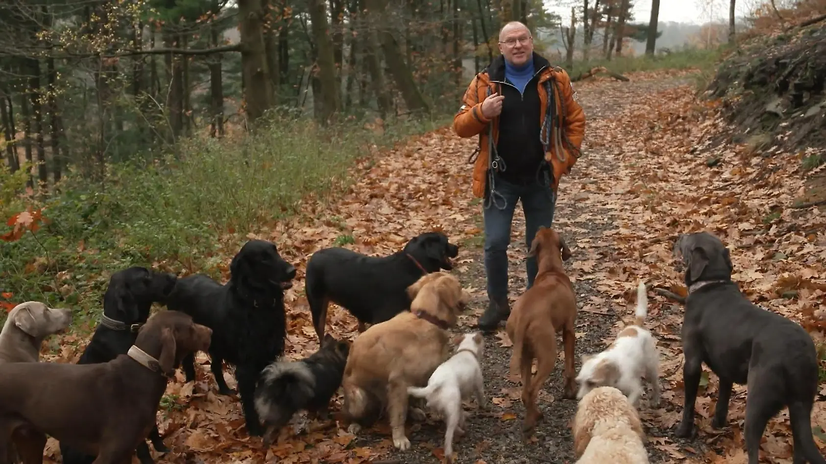 Sitz! Jörg ist der Hundesitter der Promis