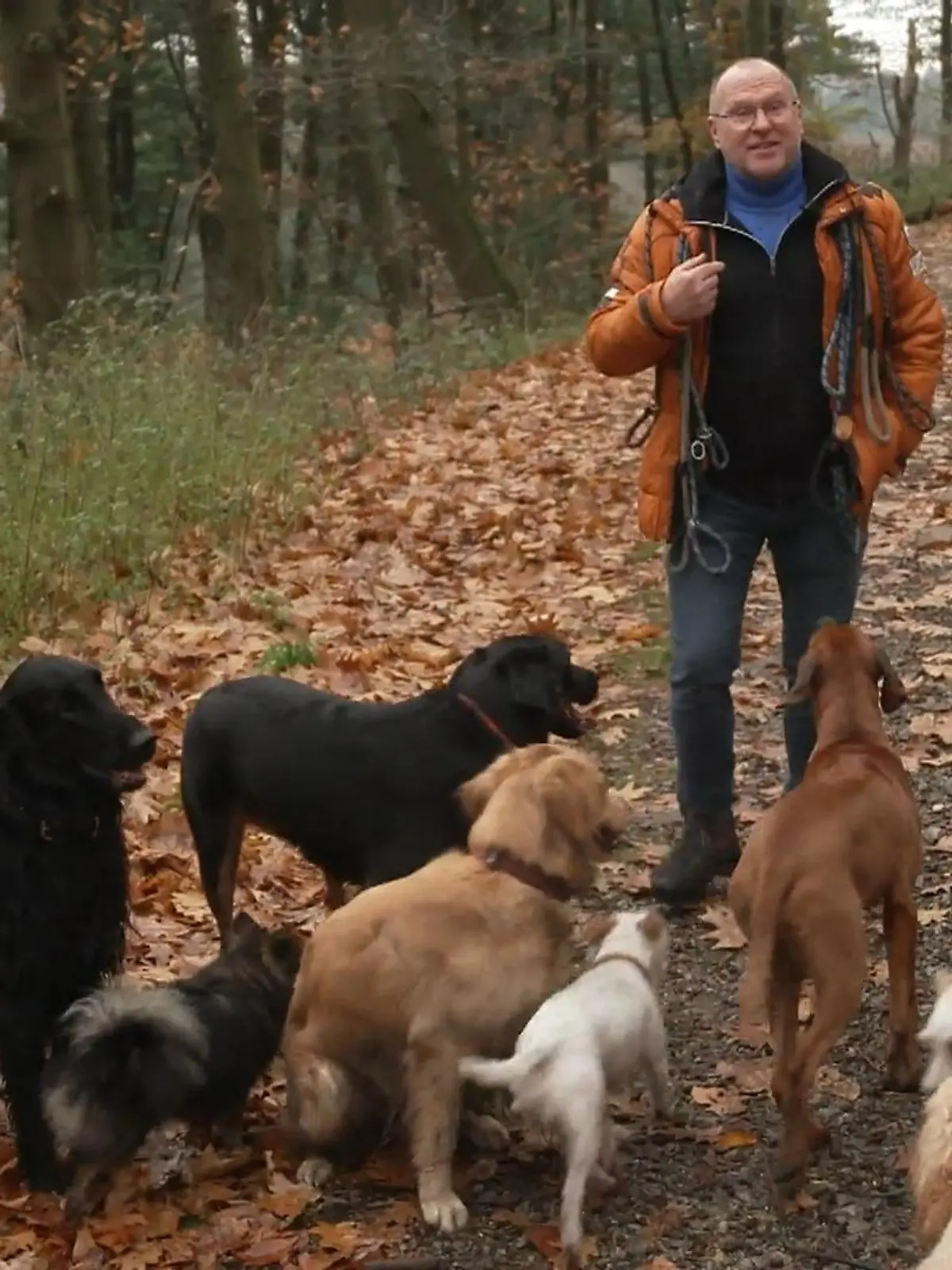Jörg Müller betreut die Hunde von Fußballern, Schönheitschirurgen und anderen Prominenten. Damit begeistert der Essener als sogenannter Dogwalker nicht nur seine Follower auf TikTok - sondern auch seine Kunden immer wieder aufs Neue, wie er im RTL-Interview erklärt. Welche Geheimnisse sie ihm bereits offenbart haben, erfahrt ihr oben im Video.