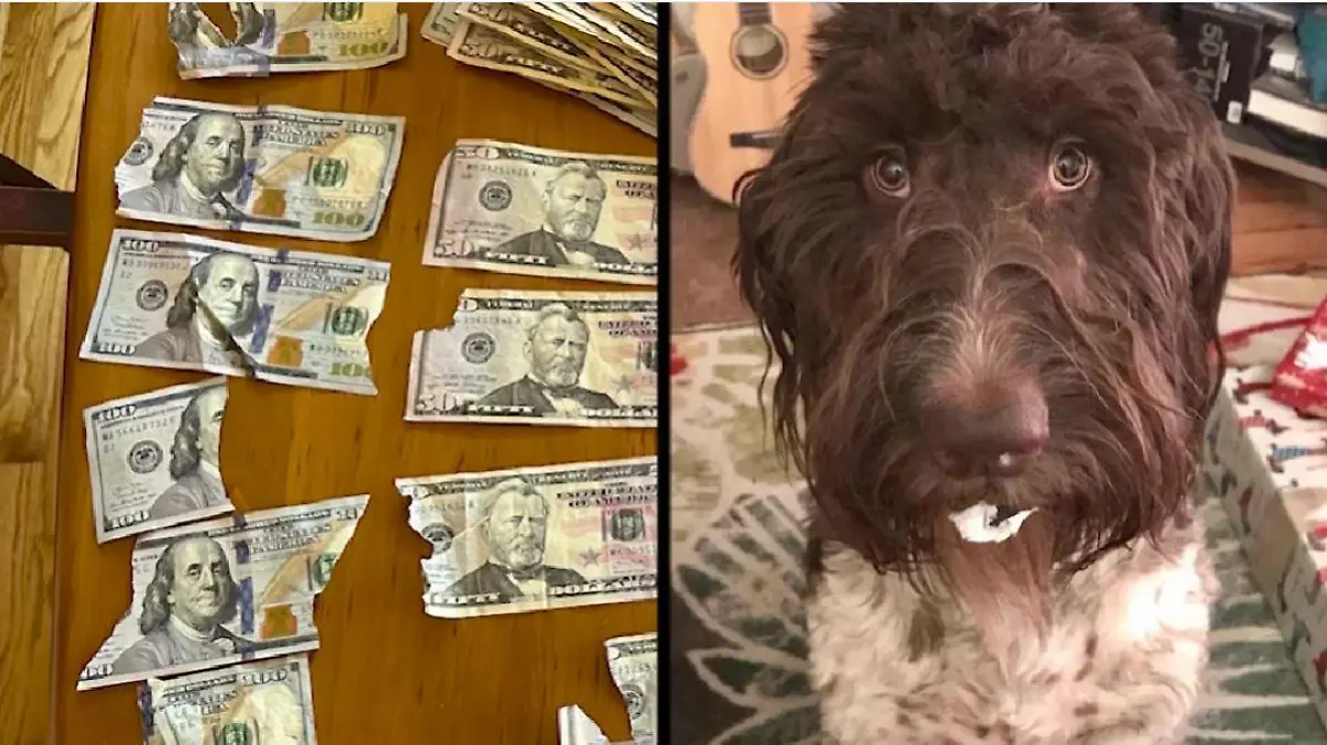 Cecil und das Geld