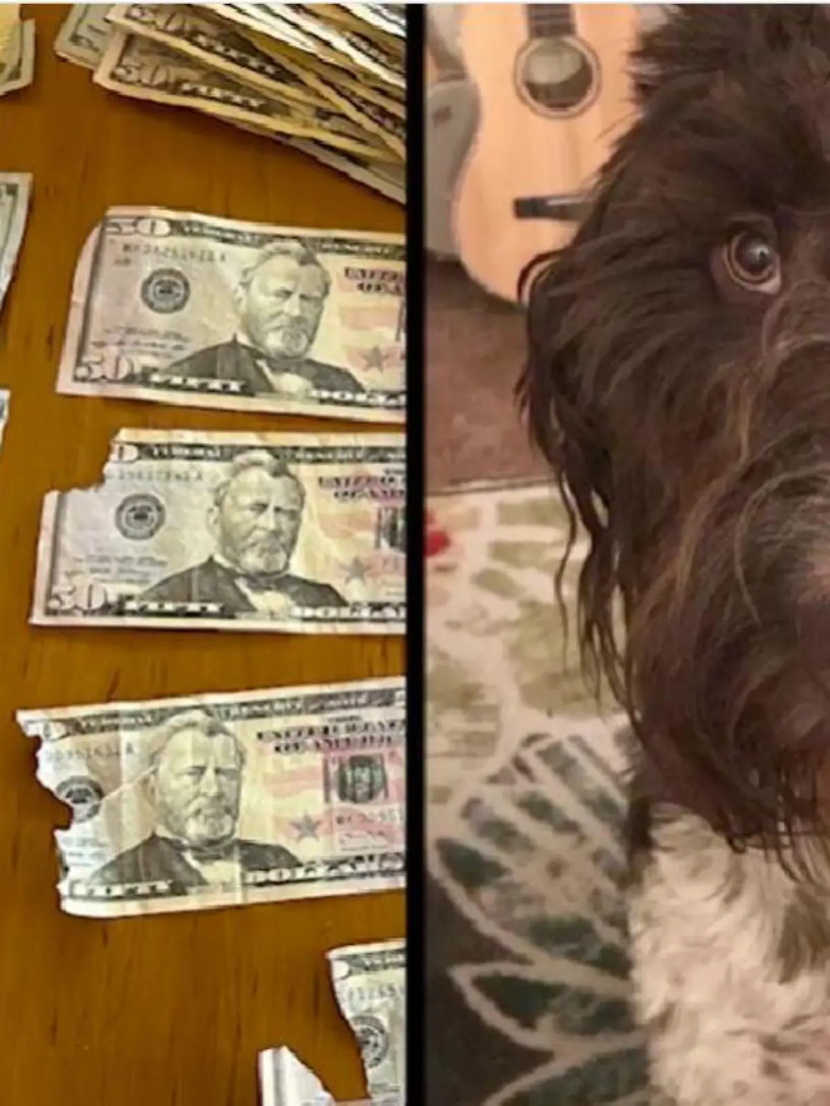 Cecil und das Geld