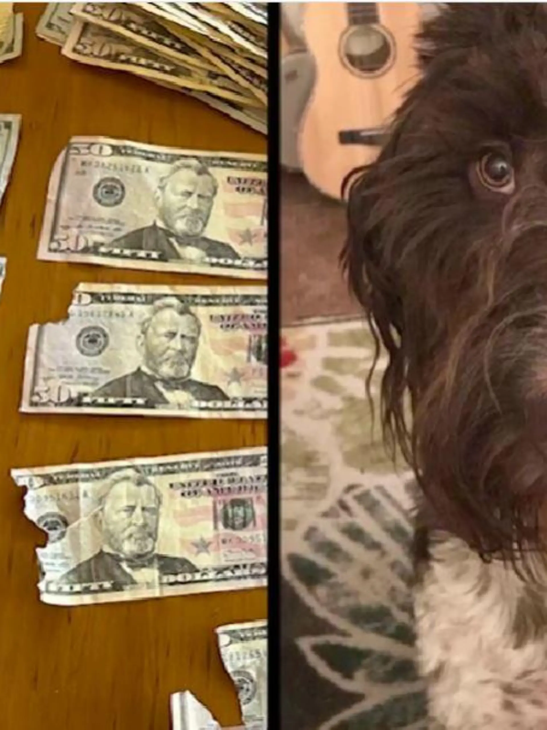 Cecil und das Geld