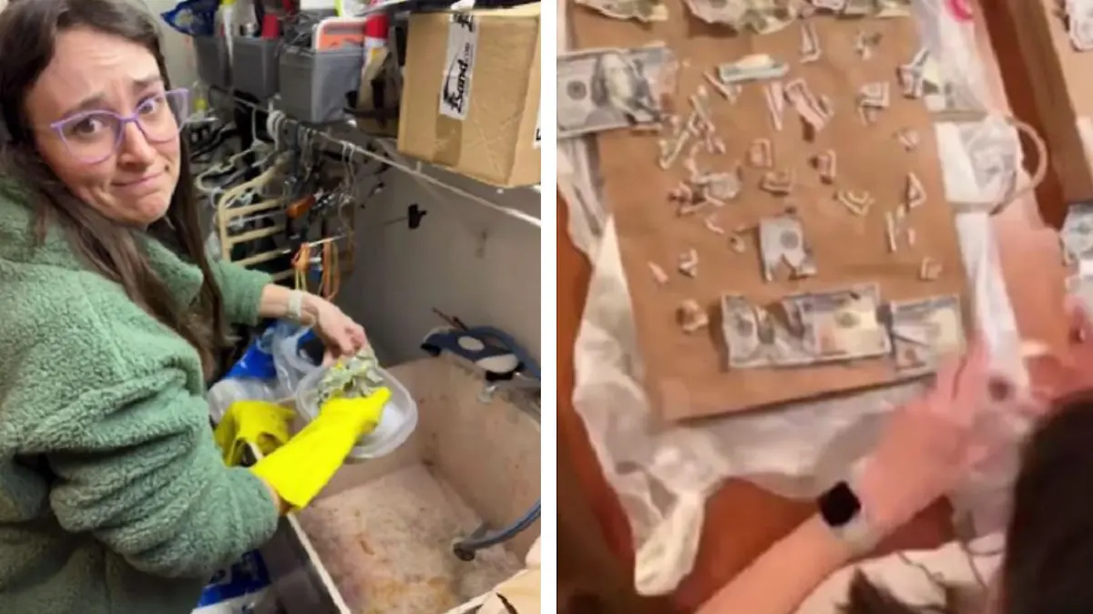 Carrie Law beim Waschen und Puzzlen