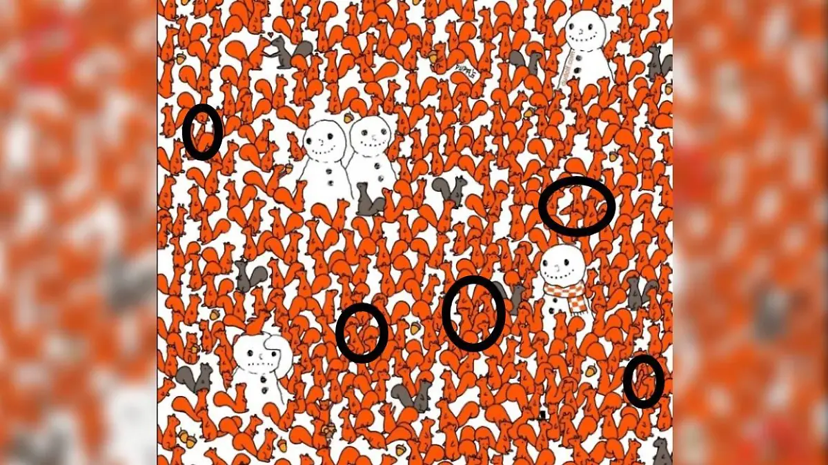 Auflösung Suchbild