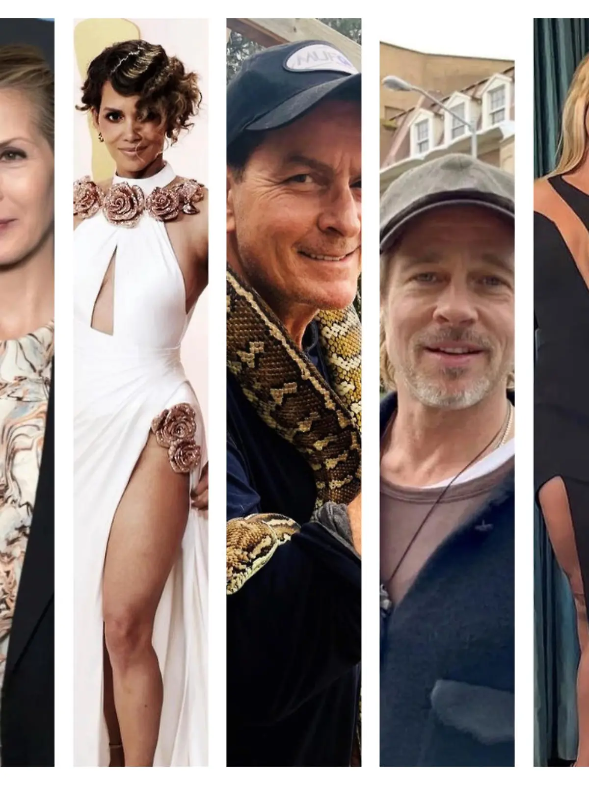 Charlie Sheen, Halle Berry, Kelly Rutherford, Britney Spears, Brad Pitt