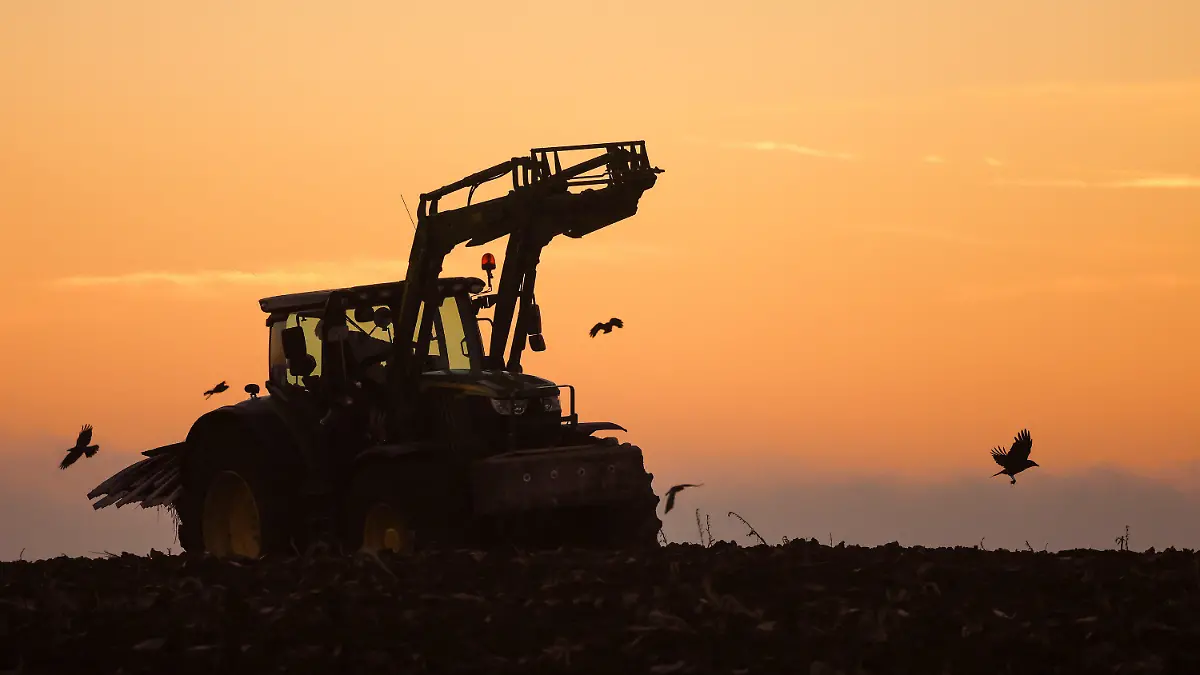 19.12.2023, Baden-Württemberg, Riedlingen: Ein Landwirt pflügt kurz vor Sonnenaufgang ein Feld um, während Vögel in dem Boden nach Nahrung suchen Foto: Thomas Warnack/dpa +++ dpa-Bildfunk +++