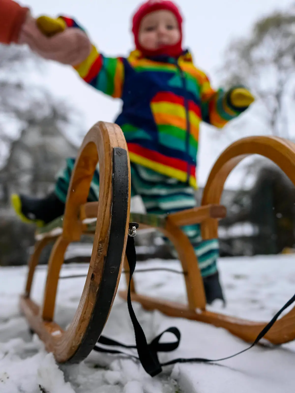 Kind fährt Schlitten im Schnee Ein Kind fährt mit der Mutter im heimischen Garten Schlitten im Schnee, nach Wintereinbruch und erstem Schneefall, Remscheid Lennep Nordrhein-Westfalen Deutschland *** Child sledding in the snow A child sledding with mother in the snow in the home garden, after the onset of winter and first snowfall, Remscheid Lennep North Rhine Westphalia Germany Copyright: xChristopherxNeundorfx