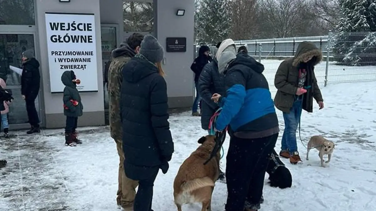 Menchen stehen vor einem Tierheim.
