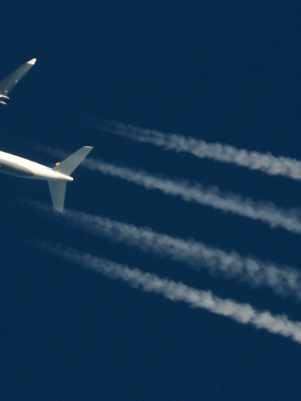 ARCHIV - Ein Flugzeug fliegt am blauen Himmel über Brandenburg nahe Frankfurt (Oder, Archivfoto vom 21.04.2007). Die Zahl der Fluggäste ist im September zum ersten Mal seit fünf Jahren gesunken. Der Internationale Luftfahrtverband (IATA) führt das auf die weltweite Wirtschafts- und Finanzkrise zurück. Im Vergleich zum Vorjahreszeitraum fiel die Zahl der Passagiere um 2,9 Prozent, wie der Verband am Freitag (24.10.2008) in Genf mitteilte. Er sprach von einer alarmierenden Entwicklung. Im Frachtverkehr war der Rückgang mit einem Minus von 7,7 Prozent noch deutlicher. Das ist der tiefste Einbruch seit 2001, dem Jahr der Terroranschläge in den USA. Foto: Patrick Pleul (zu dpa 0480 vom 24.10.2008) +++(c) dpa - Bildfunk+++