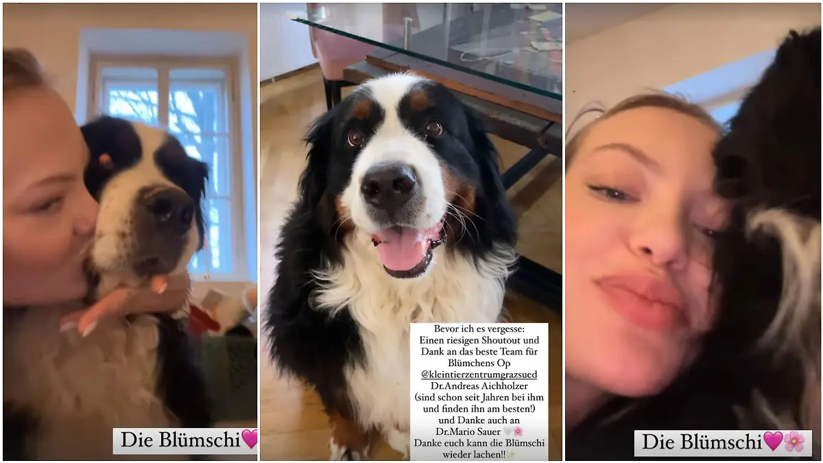 Cheyenne Ochsenknecht und Hündin Blümchen