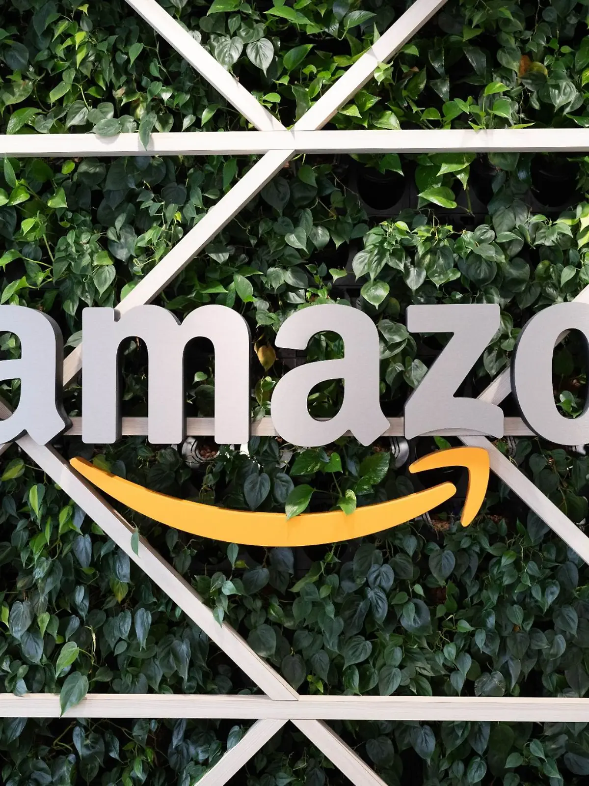 Das Amazon Logo.