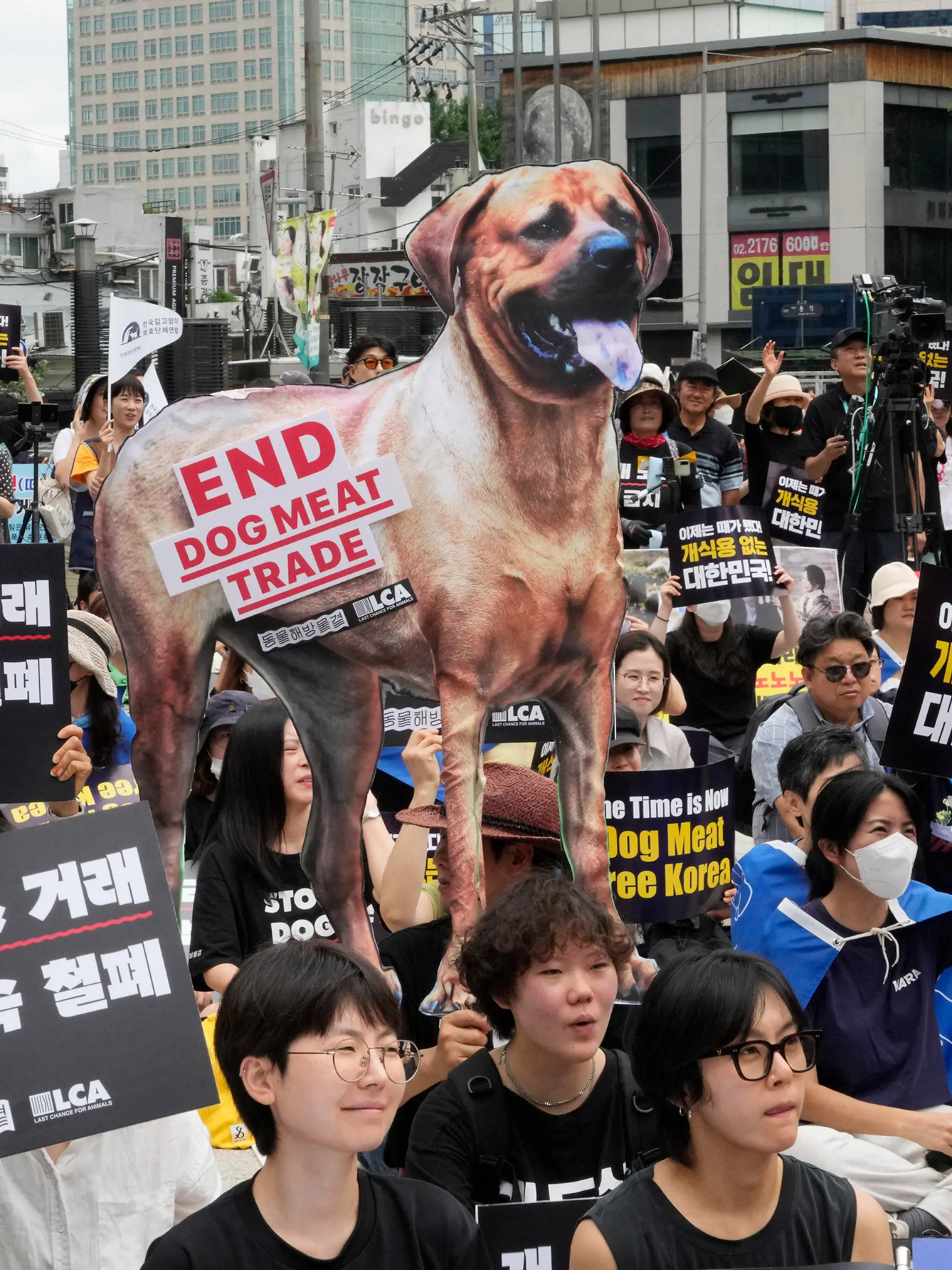 ARCHIV - 08.07.2023, Südkorea, Seoul: Tierschützer veranstalten eine Kundgebung gegen die traditionelle Kultur des Verzehrs von Hundefleisch in Südkorea. Das Parlament in Seoul billigte am Dienstag ein Sondergesetz, das unter Strafandrohung die Einstellung der Zucht, des Schlachtens und Vertriebs von Hunden für den menschlichen Verzehr vorsieht. Foto: Ahn Young-joon/AP +++ dpa-Bildfunk +++