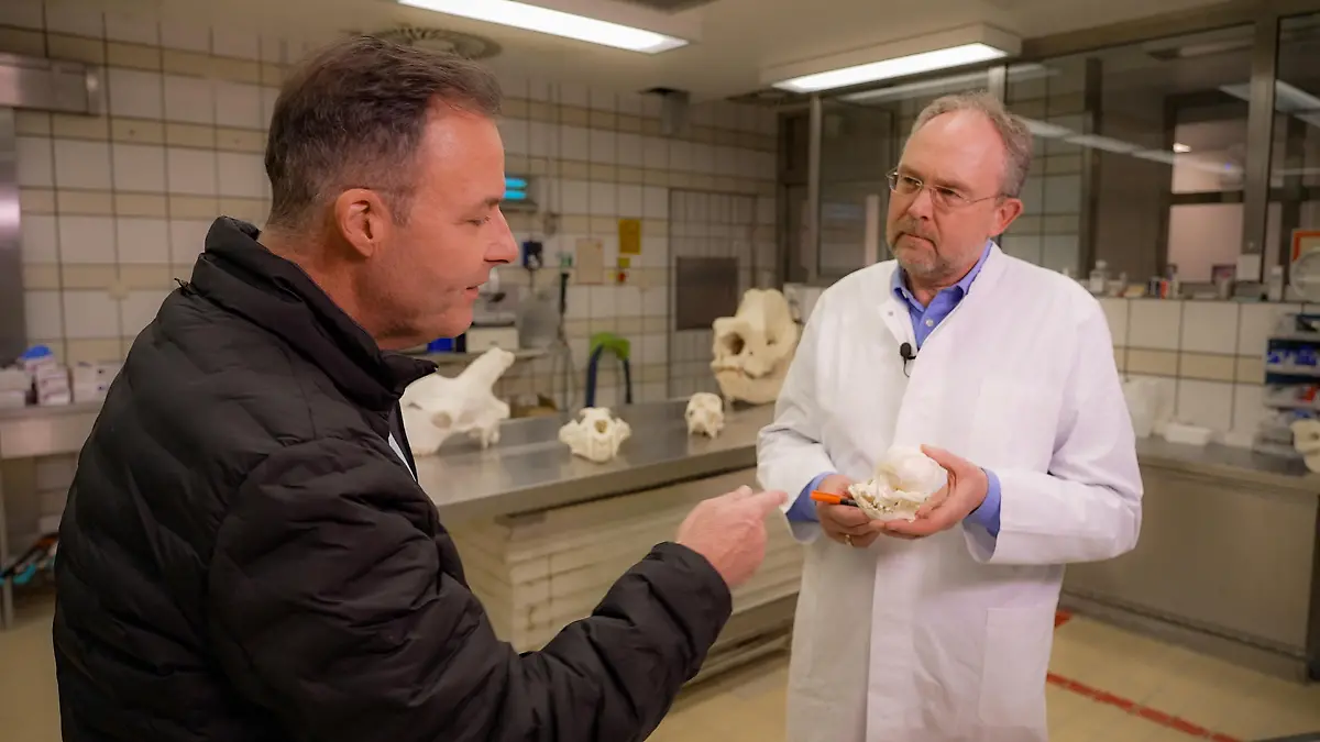 FU Berlin Tierpathologie