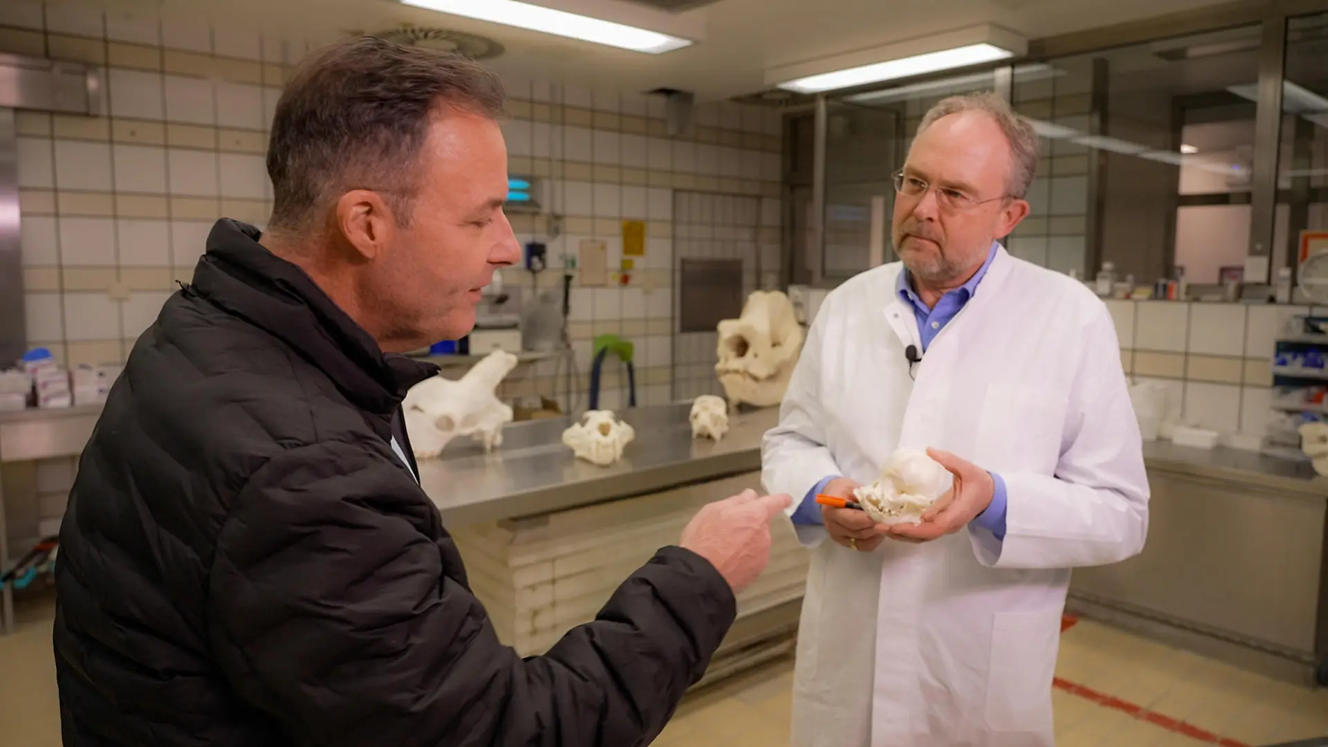 FU Berlin Tierpathologie