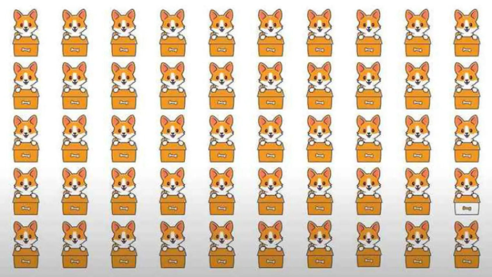 Welches Tier passt nicht ins Raster?