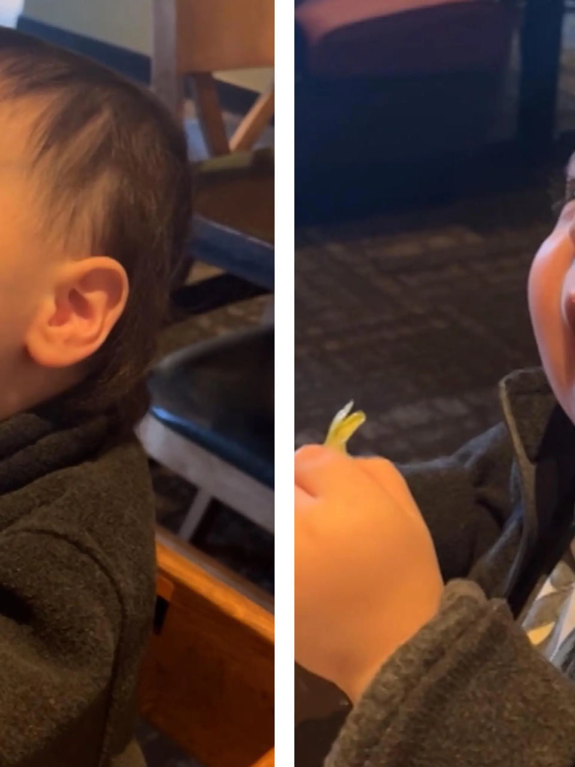 Salat? Nein danke! Zumindest nicht für diesen kleinen Jungen aus den USA. Denn als seine Mama ihm als Kostprobe ein bisschen Salat in den Mund schiebt, macht der keinen Hehl aus seinem Ekel - und zieht eine Grimasse nach der anderen!