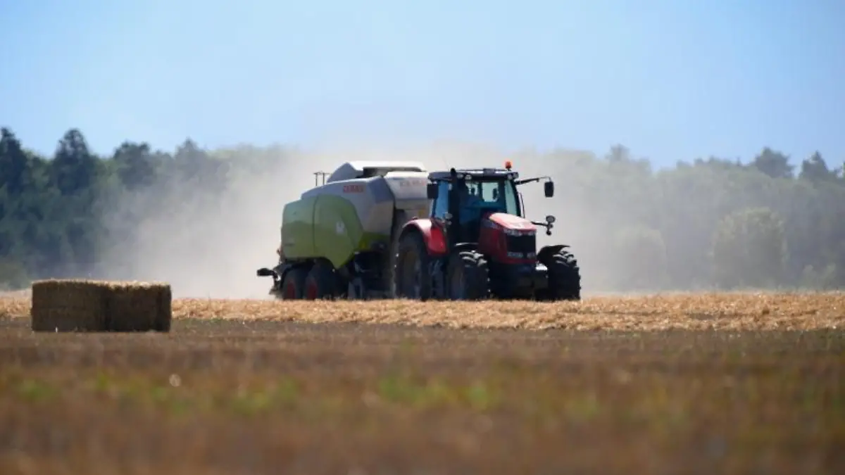 Arbeit auf dem Feld
