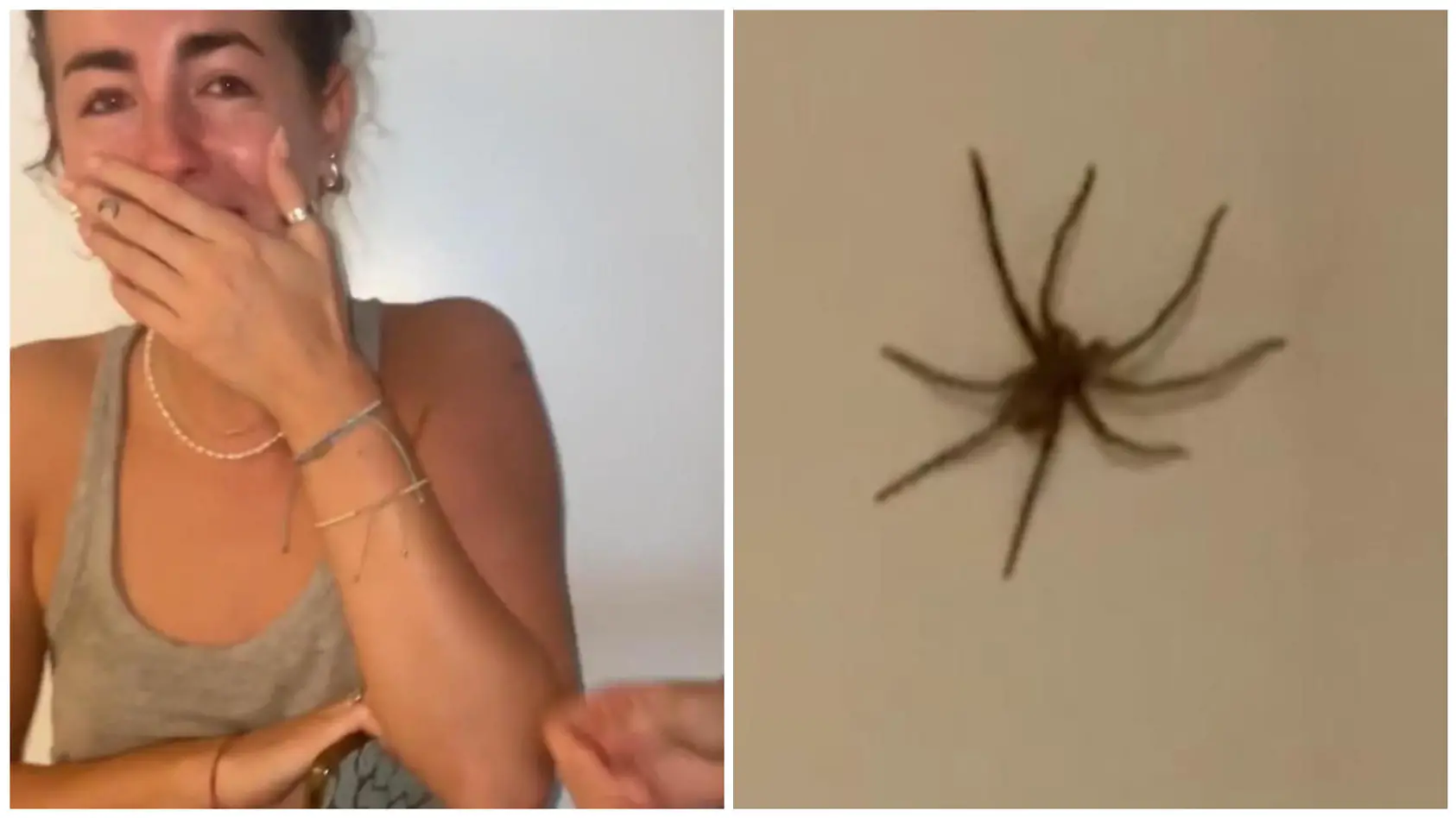 Freundinnen vs. Riesenspinne