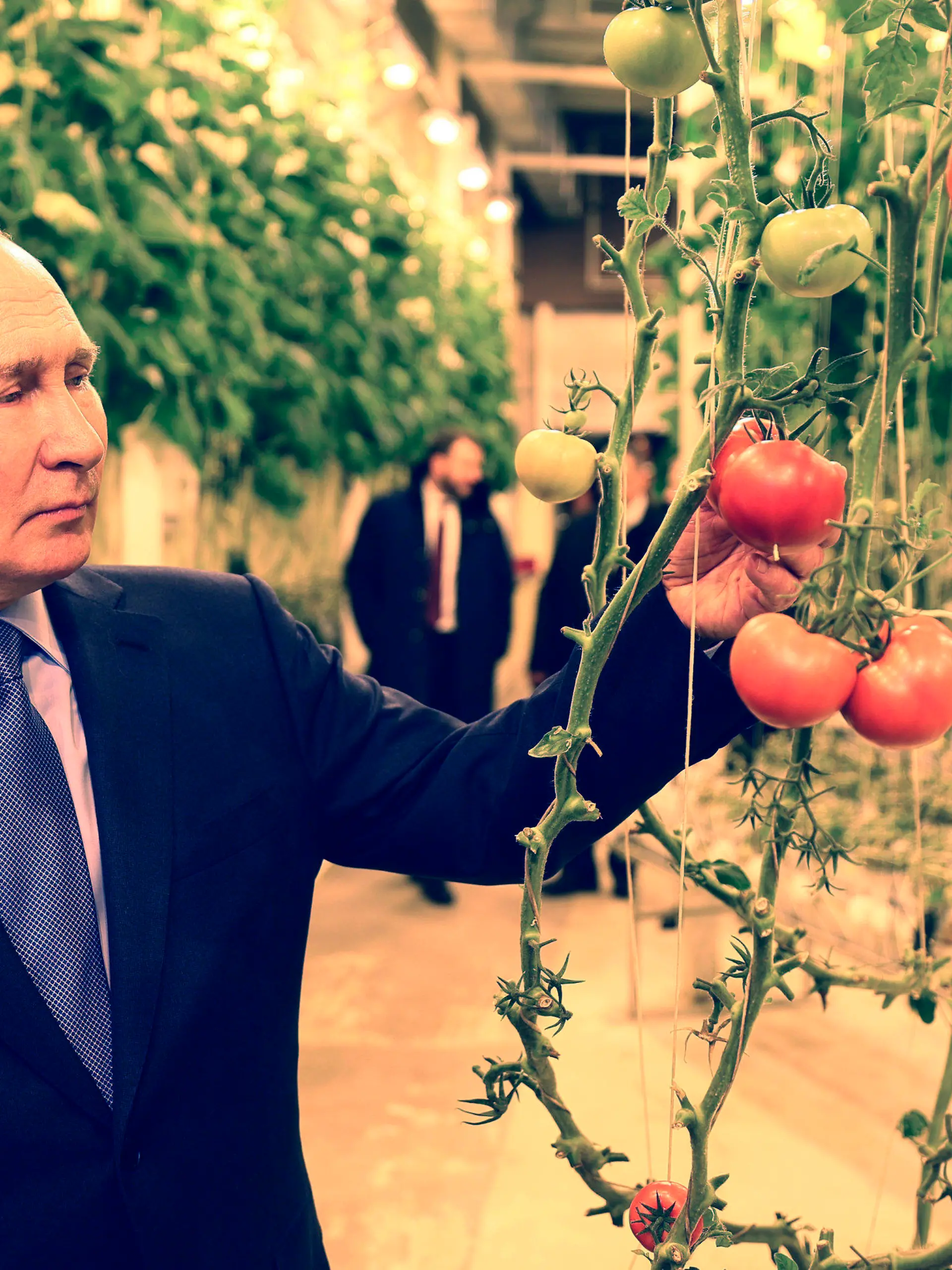 10.01.2024, Russland, Anadyr: Auf diesem von der staatlichen russischen Nachrichtenagentur Sputnik via AP veröffentlichte Foto zeigt Wladimir Putin, Präsident von Russland, der sich Tomaten bei einem einem Beusch der ganzjährigen Gewächshausfarm «Makatrov Peasant Farm» in der Region Tschukotka ansieht. Foto: Gavriil Grigorov/Pool Sputnik Kremlin/AP/dpa - ACHTUNG: Nur zur redaktionellen Verwendung und nur mit vollständiger Nennung des vorstehenden Credits +++ dpa-Bildfunk +++