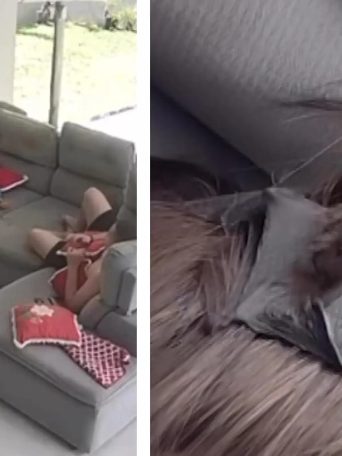 Ihre Haare müssen für diese Fledermaus wohl ziemlich gemütlich ausgesehen haben. Denn die steuert geradewegs ihren Kopf an. Ob und wie sie wieder losgeworden ist, erfahrt ihr im Video.