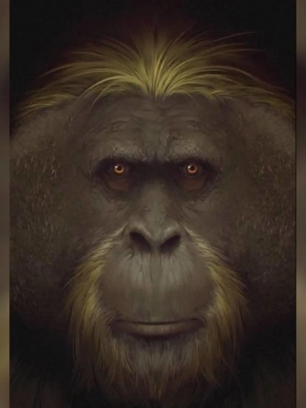 Uraffen-Art Gigantopithecus black