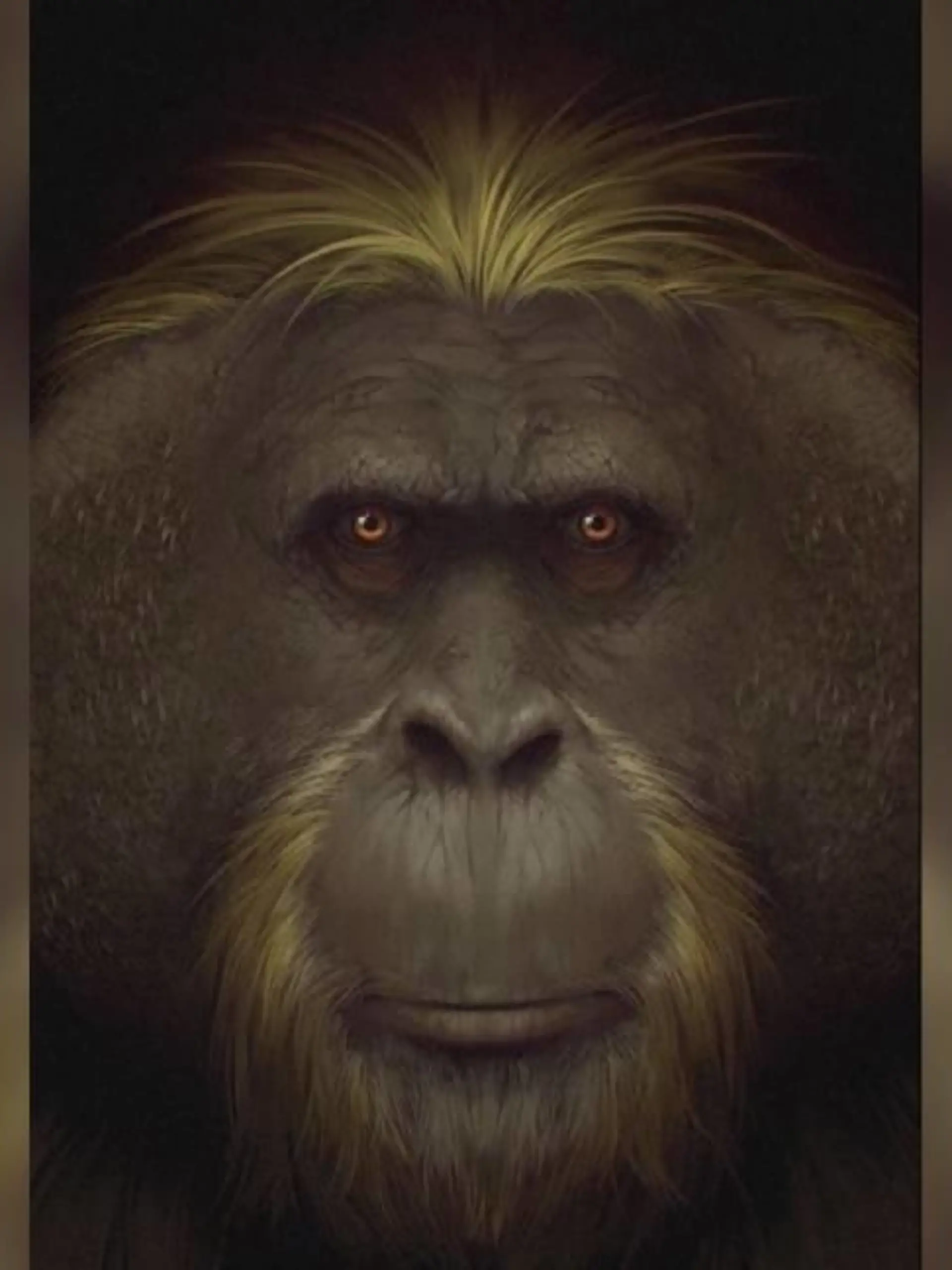 Uraffen-Art Gigantopithecus black