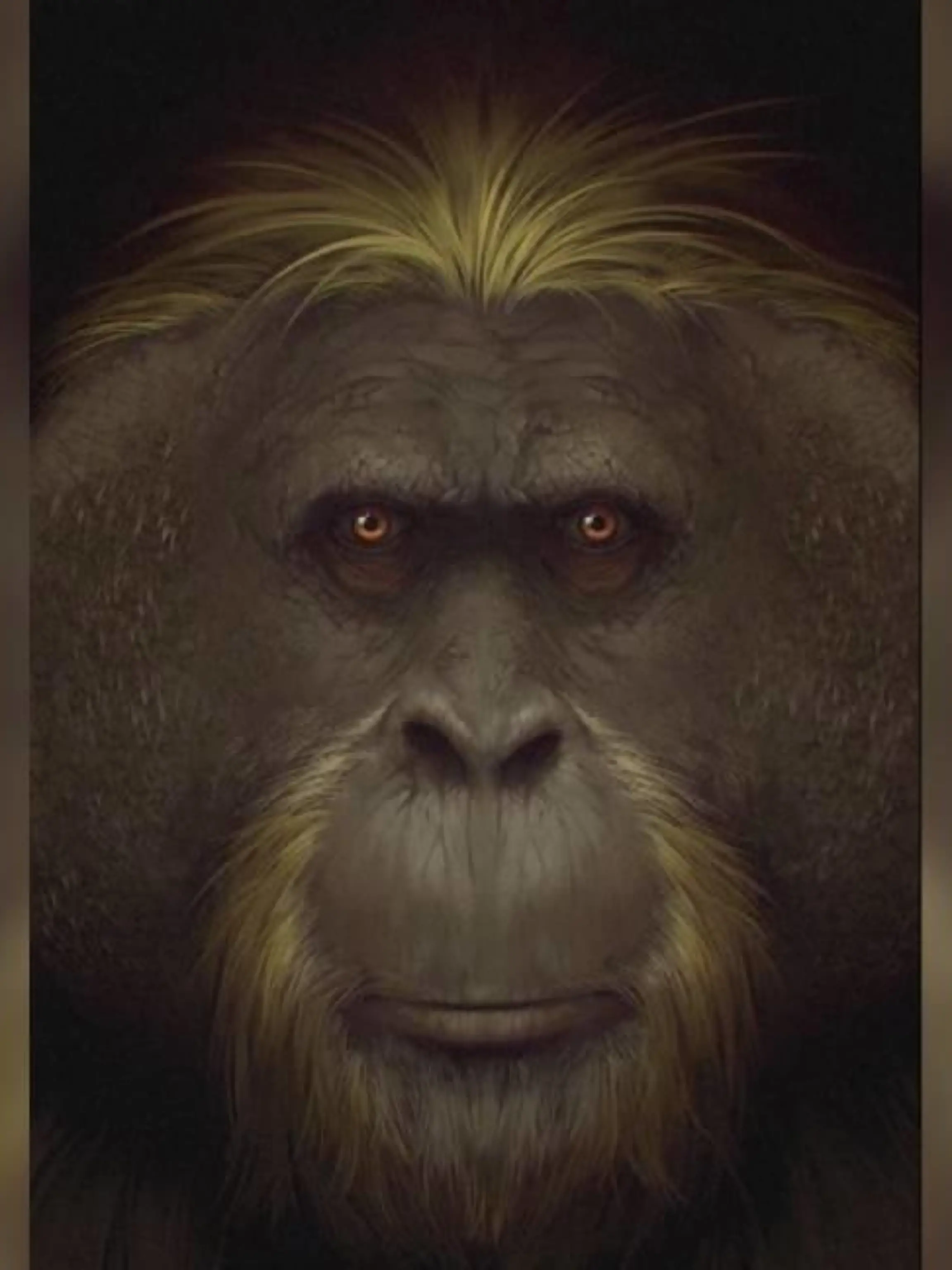 Uraffen-Art Gigantopithecus black